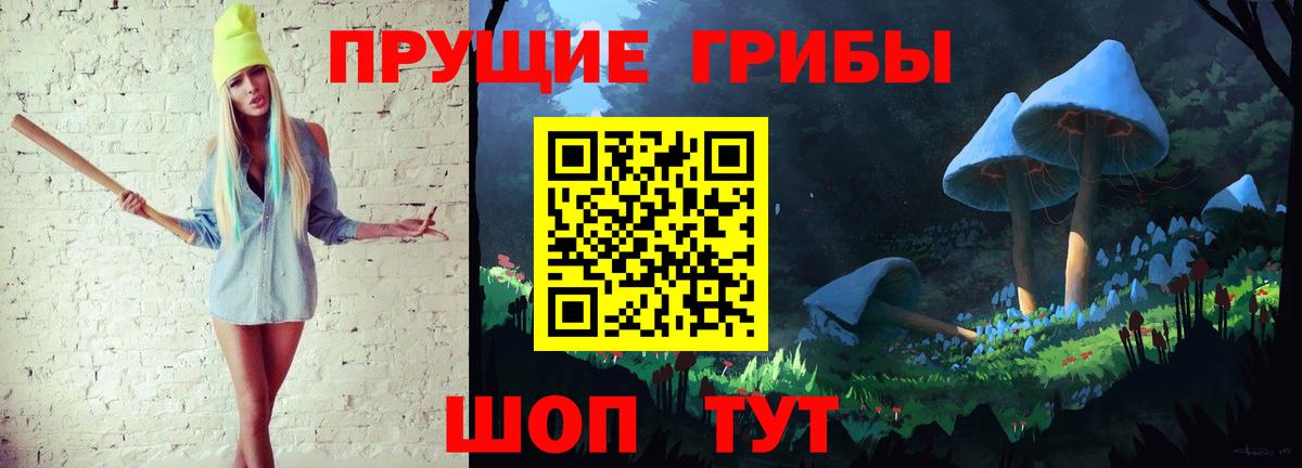 Ртищево  Псилоцибиновые грибы прущие грибы  Вход с VPN 